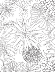 Printable Adult Coloring Book | Stress Relieving Patterns - The Vibe Planner